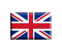 Lingua
